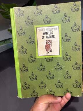 Vintage 1965 The Wonderful Worlds of Walt Disney Worlds of Nature Hardcover Book
